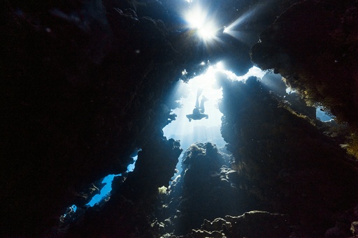 Advanced Cave Dive